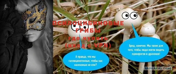 прущая мука Абаза
