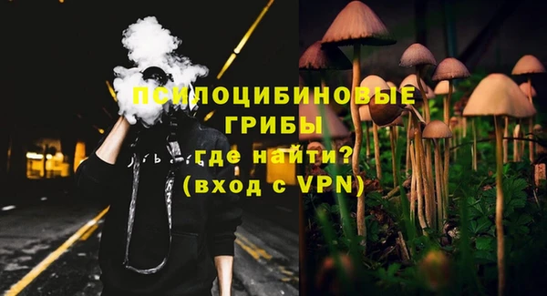прущая мука Абаза