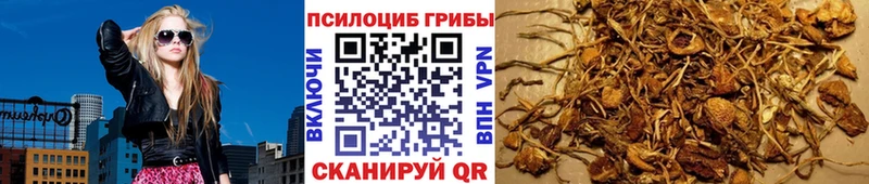 Галлюциногенные грибы MAGIC MUSHROOMS Задонск